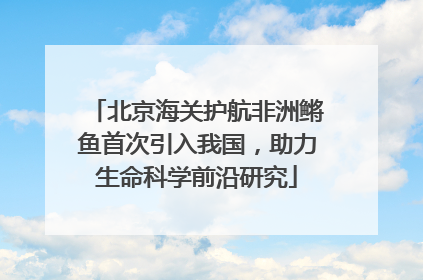 北京海关护航非洲鳉鱼首次引入我国，助力生命科学前沿研究