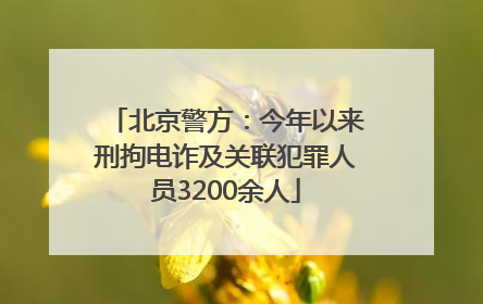 北京警方：今年以来刑拘电诈及关联犯罪人员3200余人