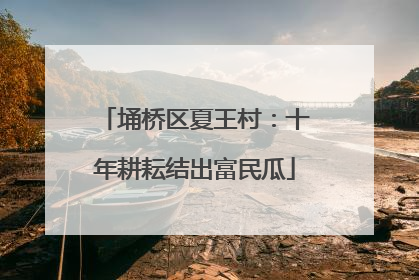 埇桥区夏王村：十年耕耘结出富民瓜