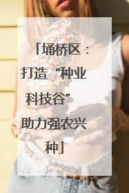 埇桥区：打造“种业科技谷” 助力强农兴种