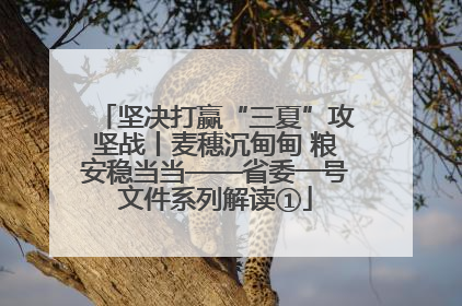 坚决打赢“三夏”攻坚战丨麦穗沉甸甸 粮安稳当当——省委一号文件系列解读①