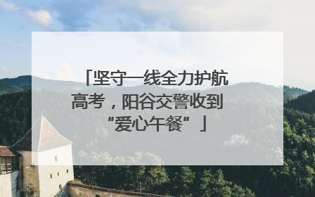 坚守一线全力护航高考，阳谷交警收到“爱心午餐”