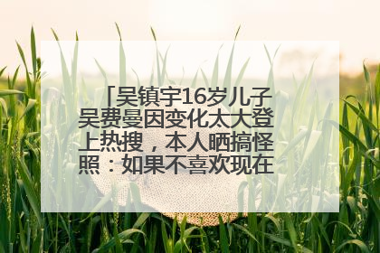 吴镇宇16岁儿子吴费曼因变化太大登上热搜，本人晒搞怪照：如果不喜欢现在的我可以离开