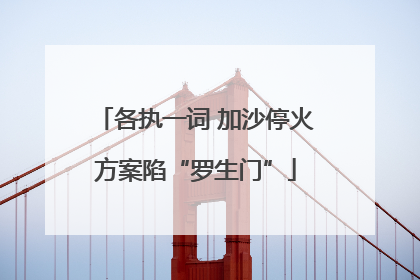 各执一词 加沙停火方案陷“罗生门”