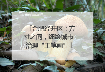 合肥经开区：方寸之间，细绘城市治理“工笔画”