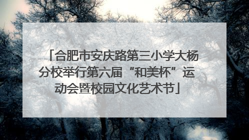 合肥市安庆路第三小学大杨分校举行第六届“和美杯”运动会暨校园文化艺术节