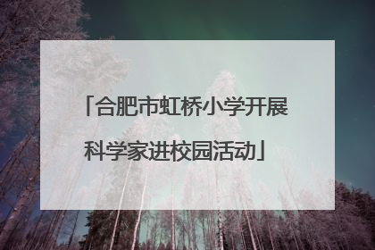 合肥市虹桥小学开展科学家进校园活动