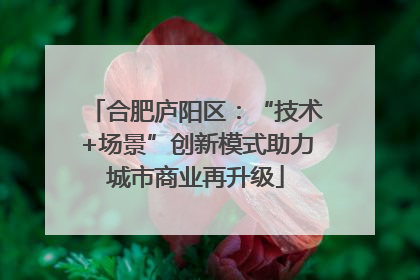 合肥庐阳区：“技术+场景”创新模式助力城市商业再升级
