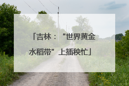吉林：“世界黄金水稻带”上插秧忙