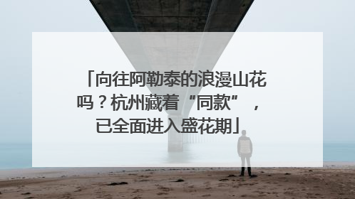 向往阿勒泰的浪漫山花吗？杭州藏着“同款”，已全面进入盛花期