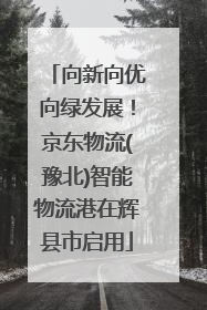 向新向优向绿发展！京东物流(豫北)智能物流港在辉县市启用