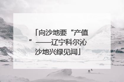 向沙地要“产值”——辽宁科尔沁沙地兴绿见闻