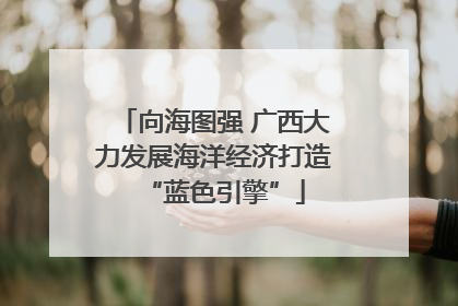向海图强 广西大力发展海洋经济打造“蓝色引擎”