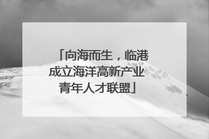 向海而生，临港成立海洋高新产业青年人才联盟