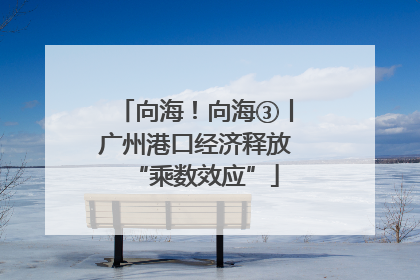 向海！向海③丨广州港口经济释放“乘数效应”