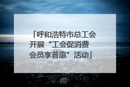呼和浩特市总工会开展“工会促消费 会员享普惠”活动