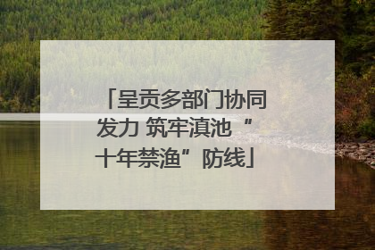 呈贡多部门协同发力 筑牢滇池“十年禁渔”防线