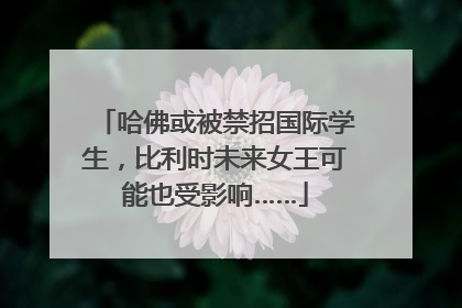 哈佛或被禁招国际学生，比利时未来女王可能也受影响……
