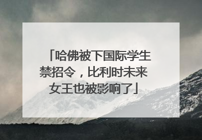 哈佛被下国际学生禁招令，比利时未来女王也被影响了
