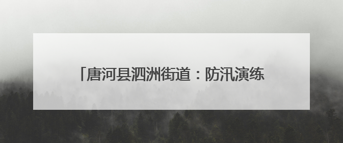 唐河县泗洲街道：防汛演练筑防线 未雨绸缪保安全