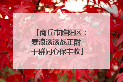 商丘市睢阳区：麦浪滚滚战正酣 干群同心保丰收