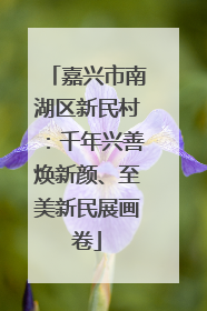 嘉兴市南湖区新民村：千年兴善焕新颜、至美新民展画卷