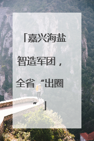 嘉兴海盐智造军团，全省“出圈”