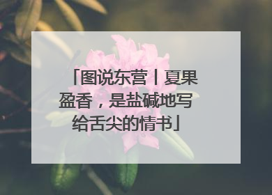 图说东营丨夏果盈香，是盐碱地写给舌尖的情书