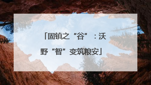 固镇之“谷”：沃野“智”变筑粮安