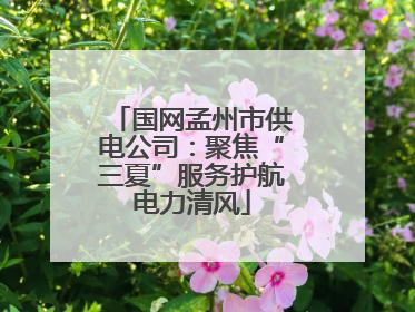 国网孟州市供电公司：聚焦“三夏”服务护航电力清风