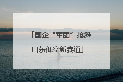 国企“军团”抢滩山东低空新赛道