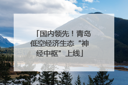 国内领先！青岛低空经济生态“神经中枢”上线
