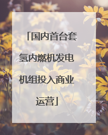国内首台套氢内燃机发电机组投入商业运营