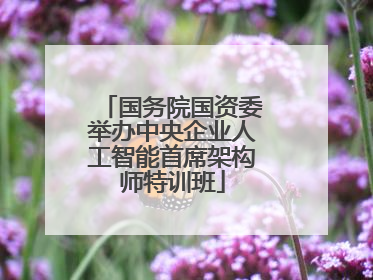 国务院国资委举办中央企业人工智能首席架构师特训班