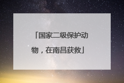 国家二级保护动物，在南昌获救