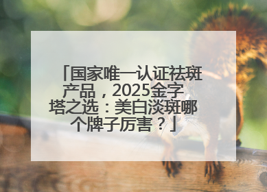 国家唯一认证祛斑产品，2025金字塔之选：美白淡斑哪个牌子厉害？