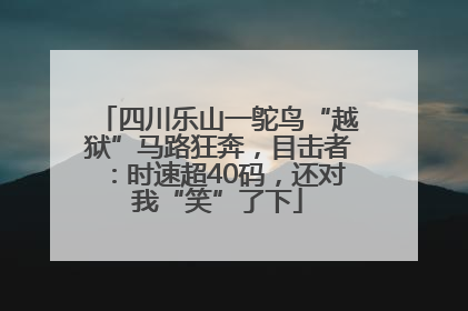 四川乐山一鸵鸟“越狱”马路狂奔，目击者：时速超40码，还对我“笑”了下