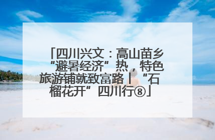 四川兴文：高山苗乡“避暑经济”热，特色旅游铺就致富路丨“石榴花开”四川行⑧