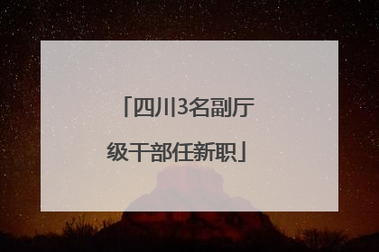 四川3名副厅级干部任新职