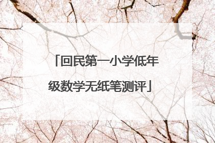 回民第一小学低年级数学无纸笔测评