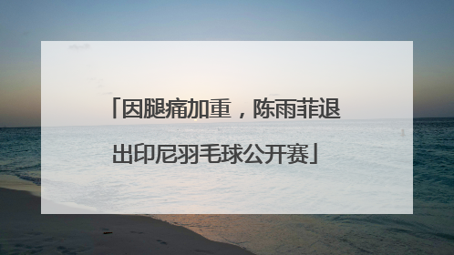 因腿痛加重，陈雨菲退出印尼羽毛球公开赛