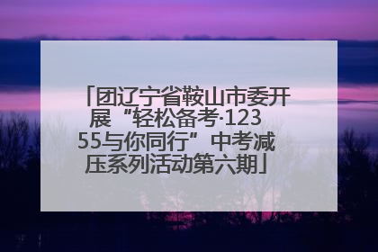 团辽宁省鞍山市委开展“轻松备考·12355与你同行”中考减压系列活动第六期