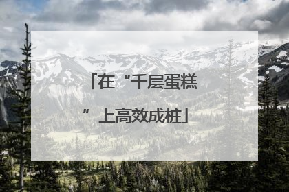在“千层蛋糕”上高效成桩