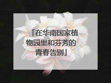 在华南国家植物园里和芬芳的青春告别