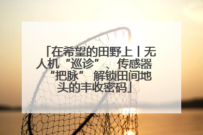 在希望的田野上丨无人机“巡诊”、传感器“把脉” 解锁田间地头的丰收密码