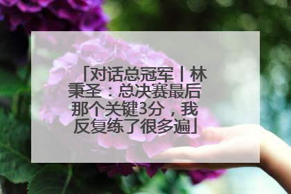 对话总冠军丨林秉圣：总决赛最后那个关键3分，我反复练了很多遍