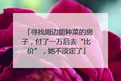 寻找周边能种菜的房子，付了一万后去“比价”，她不淡定了