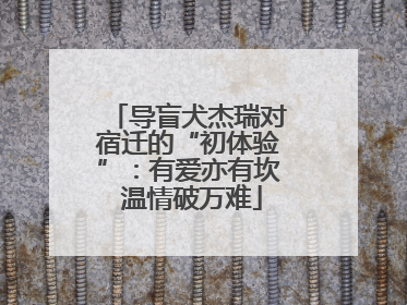 导盲犬杰瑞对宿迁的“初体验”：有爱亦有坎 温情破万难