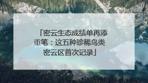 密云生态成绩单再添重笔：这五种珍稀鸟类密云区首次记录