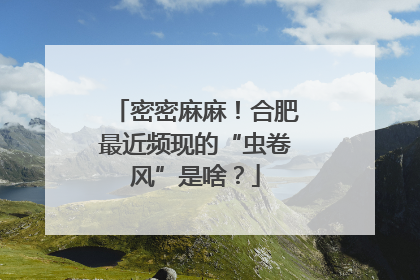 密密麻麻！合肥最近频现的“虫卷风”是啥？